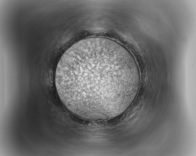 X0000093521301200711021039