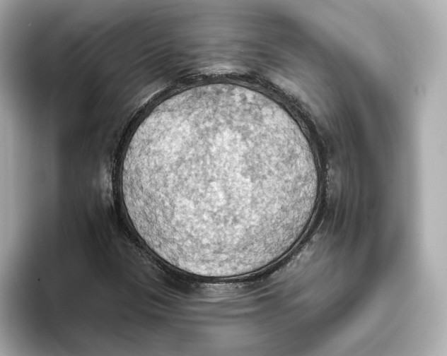 X0000093521305200711021039