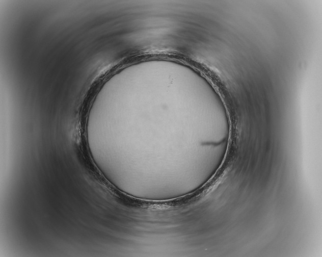 X0000093521306200711021039