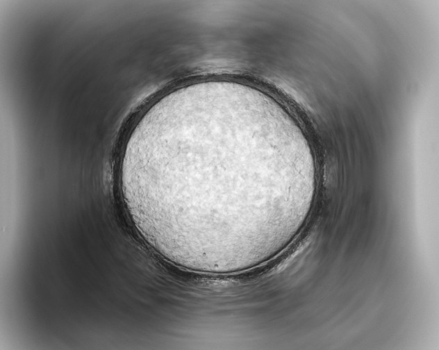 X0000093521309200711021039