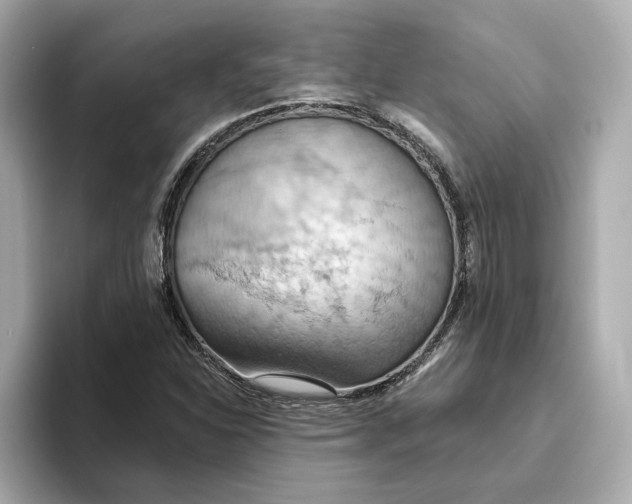 X0000093521310200711021039