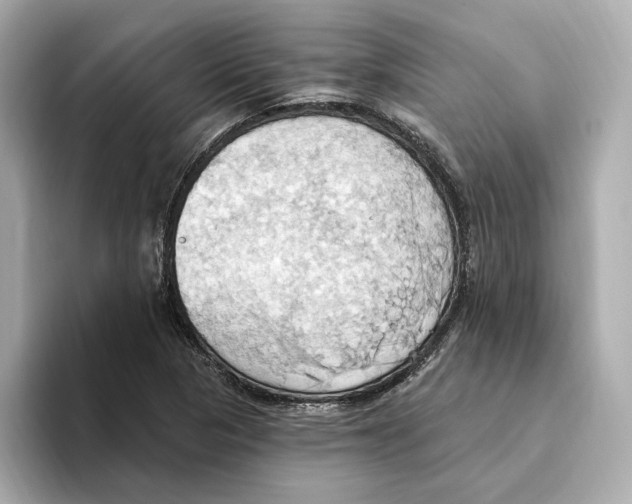 X0000093521313200711021039