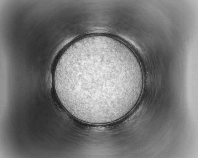 X0000093521317200711021039