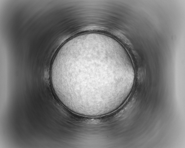 X0000093521321200711021039