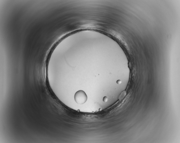 X0000093521323200711021039