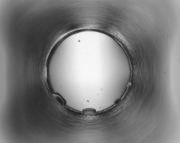 X0000093521324200711021039