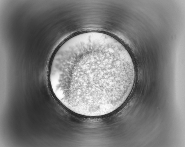 X0000093521325200711021039