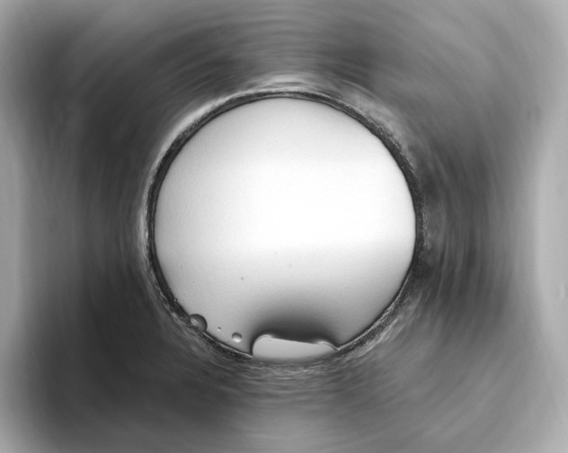 X0000093521328200711021039