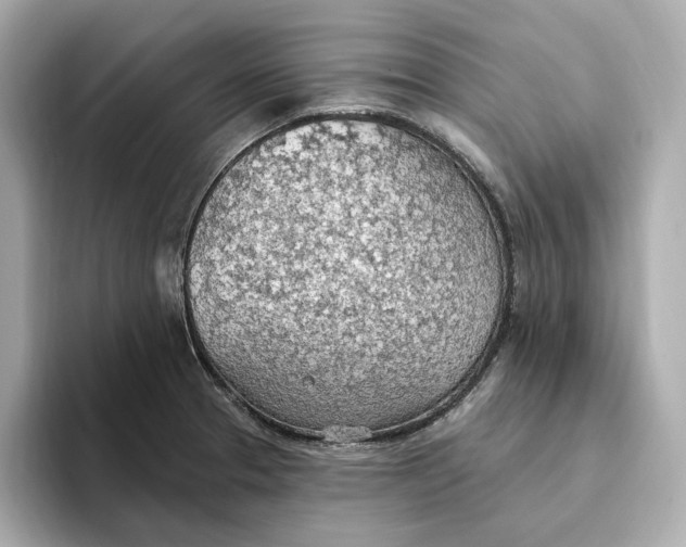 X0000093521329200711021039