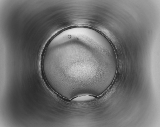 X0000093521331200711021039