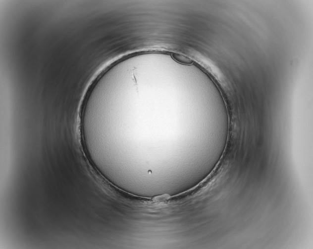 X0000093521332200711021039