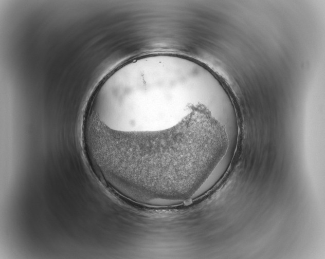 X0000093521333200711021039