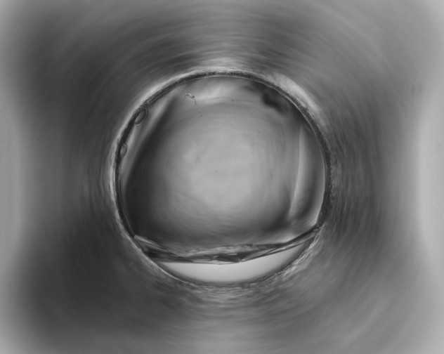 X0000093521334200711021039