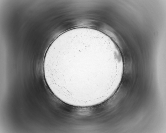 X0000093521338200711021039