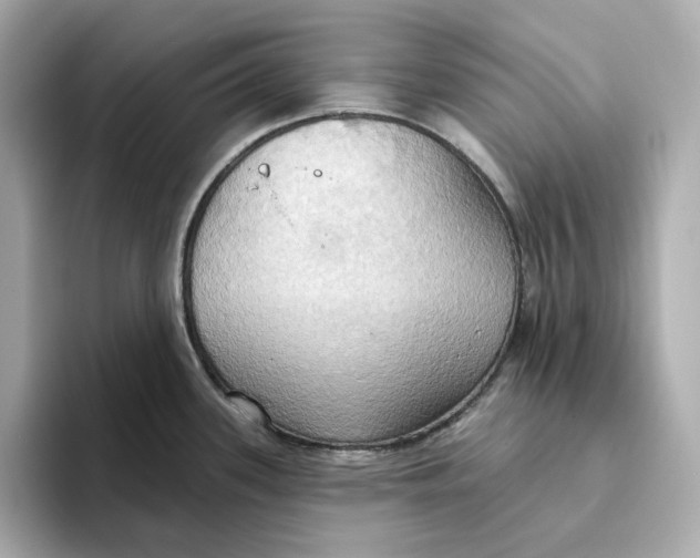 X0000093521339200711021039