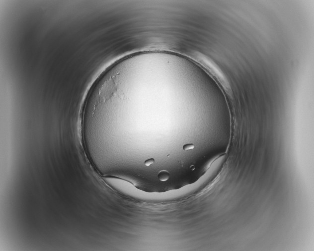 X0000093521340200711021039