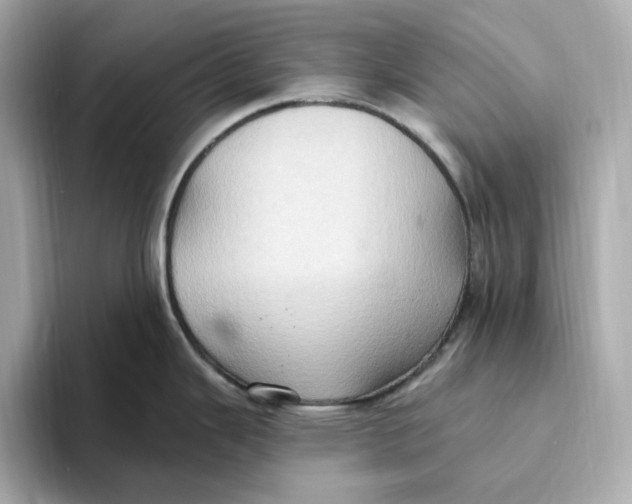 X0000093521343200711021039