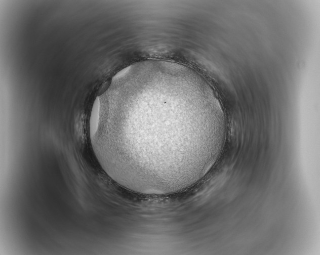 X0000093521346200711021039