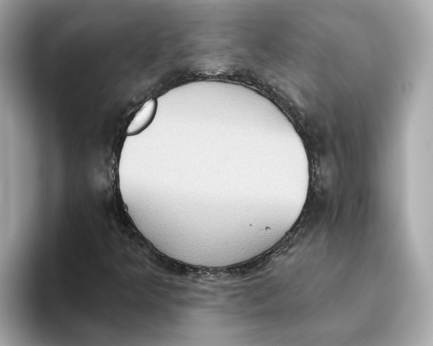 X0000093521349200711021038