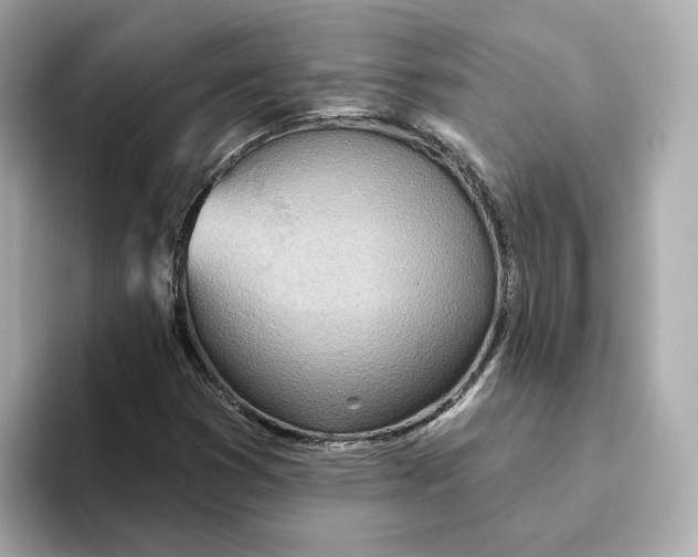 X0000093521353200711021038