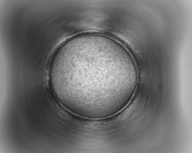 X0000093521355200711021038