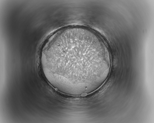 X0000093521359200711021038