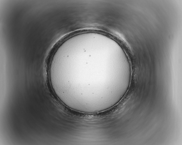 X0000093521360200711021038