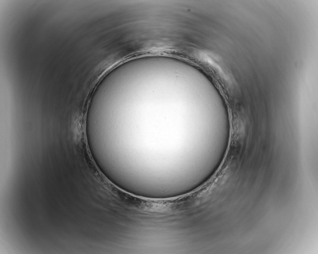 X0000093521361200711021038