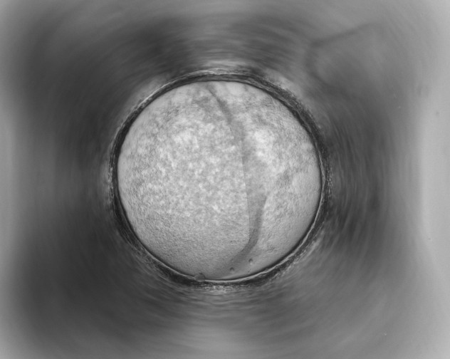 X0000093521362200711021038