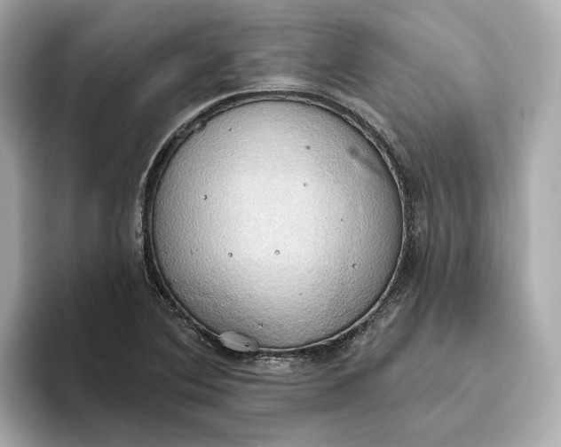 X0000093521364200711021038