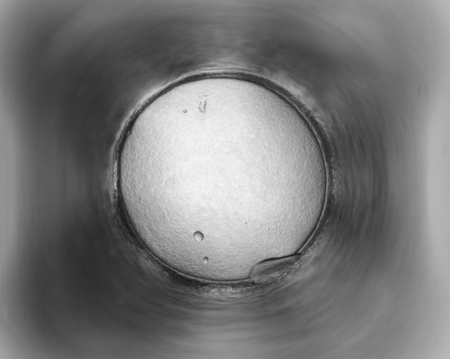 X0000093521366200711021038