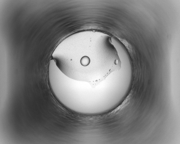 X0000093521369200711021038