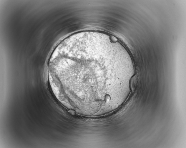 X0000093521371200711021038