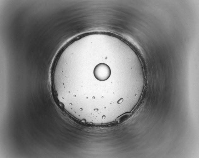 X0000093521372200711021038