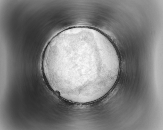 X0000093521374200711021038