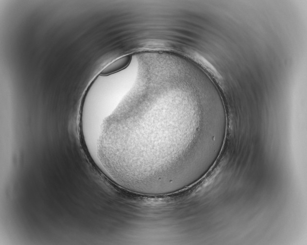 X0000093521378200711021038