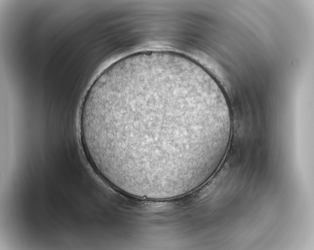 X0000093521382200711021038