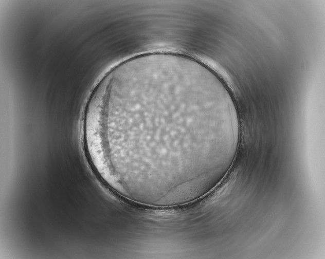 X0000093521383200711021038