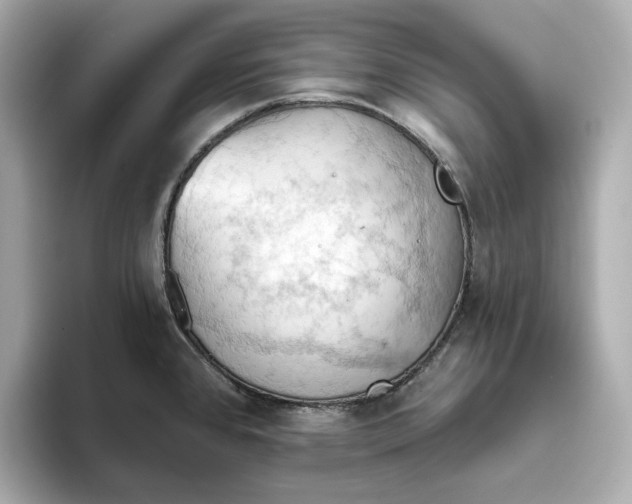 X0000093521384200711021038