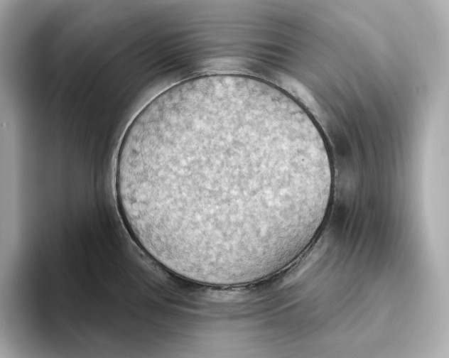 X0000093521386200711021038