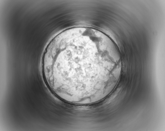 X0000093521387200711021038