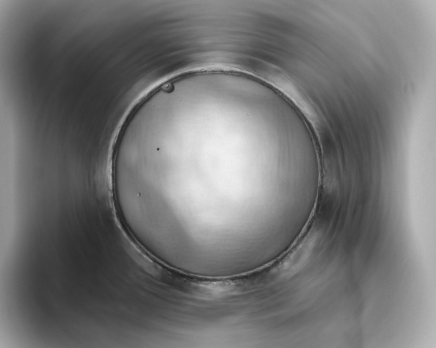 X0000093521388200711021038