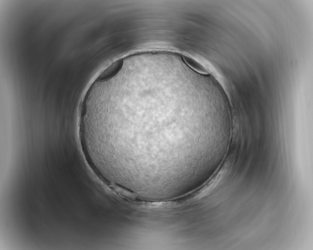 X0000093521390200711021038