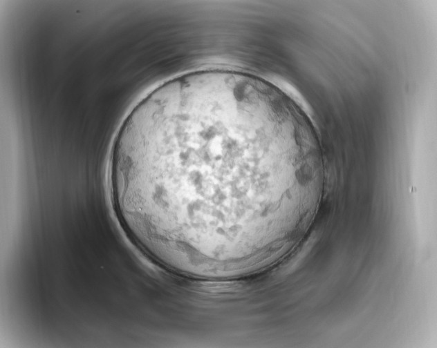 X0000093521391200711021038