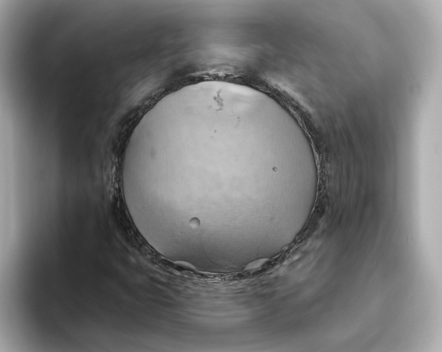 X0000093521399200711021037