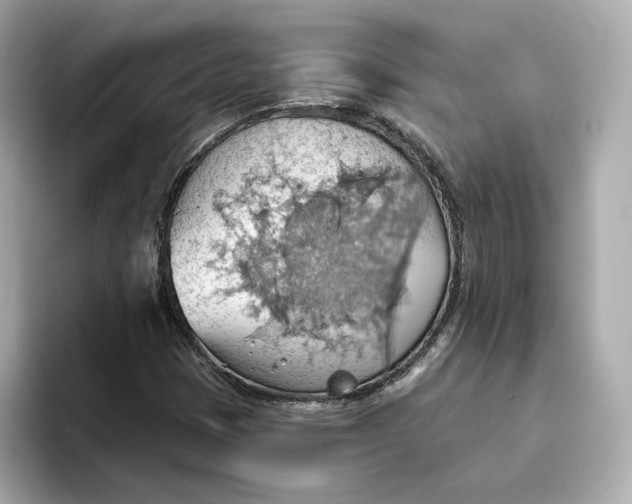 X0000093521401200711021037