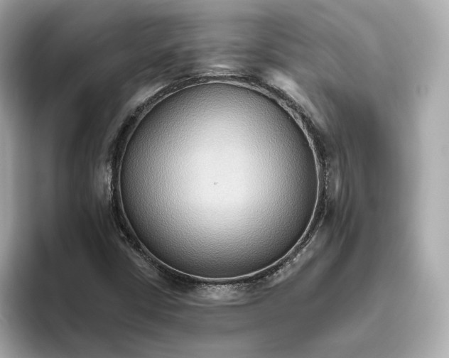 X0000093521402200711021037