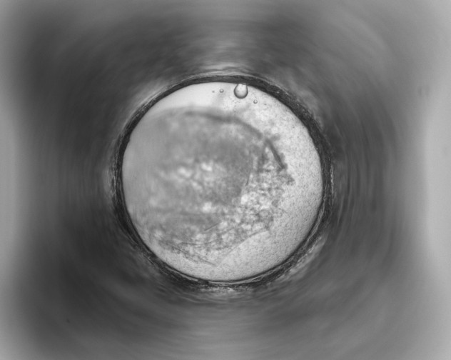 X0000093521405200711021037