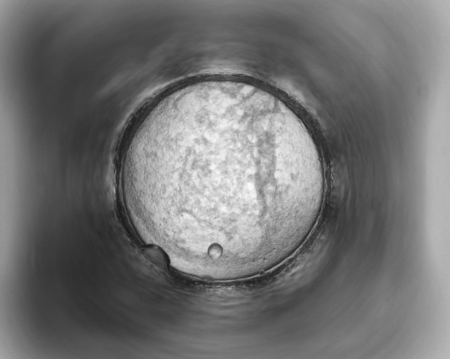 X0000093521408200711021037