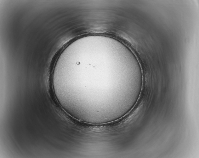 X0000093521410200711021037